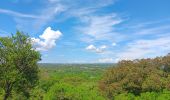 Tour Wandern Saint-Bonnet-du-Gard - mon 8 du pont du Gard  - Photo 4