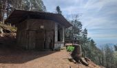 Trail Walking Ottrott - mont st Odile, chemin de croix - Photo 2