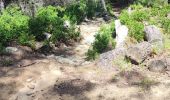 Trail Walking Martigues - figuerolles plateau jacky - Photo 1