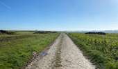 Trail Walking Mont-de-l'Enclus - Amougies 16 km - Photo 9