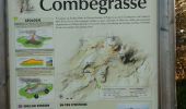 Randonnée Marche Aydat - 2019-09-13 -Puy de Combegrasse - Narse d'Espinasse - Photo 12