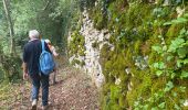 Tocht Stappen Vitrac - Périgord jour 3 - Photo 20