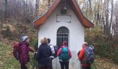 Randonnée Marche Notre-Dame-de-l'Osier - Notre Dame De l'Osier en circuit + visites Chapelle et Basilique - Photo 15