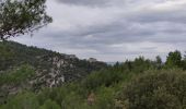 Randonnée Marche La Roque-d'Anthéron - PF-La Roque d'Anthéron - De l'Abbaye de Silvacane au Vallon de la Baume - V - Photo 2