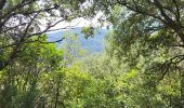 Tour Wandern Sant Ferriol - besaliu 190724 - Photo 14