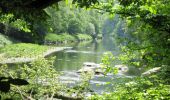 Randonnée A pied Gemeinde Hardegg - Thayatalweg - Variante Umlaufberg - Photo 4