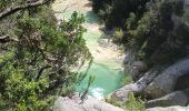 Trail Walking Navacelles - cal - Photo 2