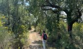 Trail Walking Cantallops - Cantaloup  - Photo 4