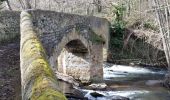 Trail Walking Chadeleuf - LES CROIX BASSES  - Photo 8
