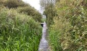 Tocht Stappen Diksmuide - Blanquaart 19 km - Photo 11