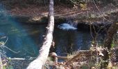 Trail Walking Mazaugues - le Caramy - Photo 13