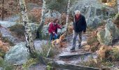 Tocht Stappen Fontainebleau - Barbize  - Photo 1