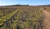 Excursión Senderismo Châtillon - Châtillon - La vallée de l'Azergues - Photo 20