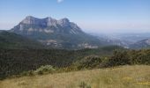 Tour Wandern La Chaudière - Le mont faraud - Photo 5