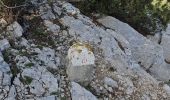 Trail Walking Roquefort-la-Bédoule - Roquefort la Bédoule - Photo 15