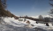 Trail Snowshoes Montricher-Albanne - Albanne - Prario -la Plagne - le Belvedere - Photo 3