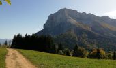 Tocht Stappen Apremont - col du Granier / pointe de la Gorgeat - Photo 12