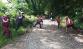 Trail Nordic walking Vif - Circuit plaine de Reymure en circuit - Photo 1