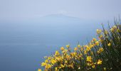 Trail On foot Anacapri - IT-390 - Photo 1
