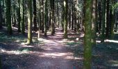 Tour Wandern Besançon - Forêt de CHAILLUZ  - Photo 1