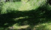 Trail Walking Pontgibaud - LA CHEIRE DE PONTGIBAUD - Photo 6