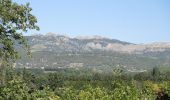 Tour Wandern Carpentras - PF-Canal de Carpentras - Photo 4