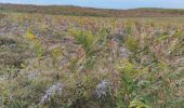 Trail Walking Saint-Jacut-de-la-Mer - îles des hebihens - Photo 6