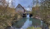 Trail Walking Thuin - Thuin 130325 - Photo 11