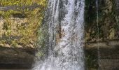 Trail Walking Menétrux-en-Joux - cascades du hérisson- Menetrux en Joux - Photo 12