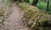 Trail Walking Pluneret - PR_56_Pluneret_BA_02_Circuit1b_Vallon-Du-Leran_20220504 - Photo 2