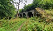 Tour Wandern Saint-Hubert - rando arville 13/08/2020 - Photo 13