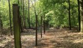 Tocht Te voet Immenhausen - Eco Pfad Ahlberg-Mariendorf - Photo 1