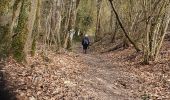 Trail Walking Naveil - Mondétour - Photo 1