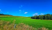 Tour Wandern Hamois - Marche Adeps à Natoye - Photo 6