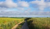 Trail Walking Liège - Rocourt - Sluizen - Vreren - Rocourt  - Photo 10