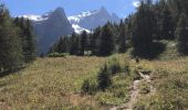 Tocht Stappen La Grave - Lac du Puy Vachier - Photo 1