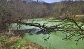 Tour Wandern Jemeppe-sur-Sambre - Spy 191224 - Photo 17