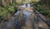 Tour Wandern Rochefort - Gare à Gare Rando 39 - Photo 8