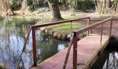 Trail Walking Oupeye - Promenade Trail Walking Oupeye - Promenade