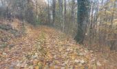 Randonnée Marche Liederschiedt - Le Sentier des Roches à Liederschiedt - Photo 1