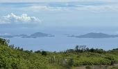 Randonnée  Saint-Claude - Soufrière  - Photo 2