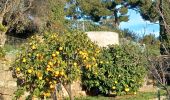 Randonnée Marche Vallauris - VALLAURIS . CITE ANTIQUE DE LA CORDULA O - Photo 4