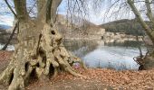 Tour Wandern Ganges - Ganges bois de Montmale Laroque - Photo 2