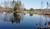 Tocht Stappen Peyrelevade - Fred les Fontaines de Cezeyrat  - Photo 1