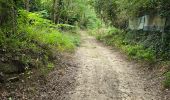 Tour Wandern Soisy-sur-École - Soisy-sur-Ecole  - Tertres - Photo 14