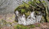 Randonnée Marche nordique Lauroux - Labeil Forêt de l'Escandorgue Juin 2021 - Photo 15