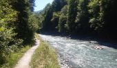 Tour Wandern Samoëns - Samoens . gorges des tines - retour  - Photo 20