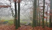 Tour Zu Fuß Wildberg - Deckenpfronn Grenzweg - Photo 4