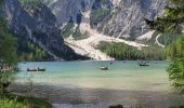 Trail Walking Prags - Braies - lac de braies 1112m 20kms  - Photo 19