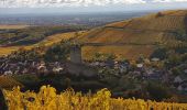 Excursión Senderismo Ammerschwihr - Trois-Epis - monument du Galtz - château du Wineck - clocher vrillé de Niedermorschwihr - Photo 17